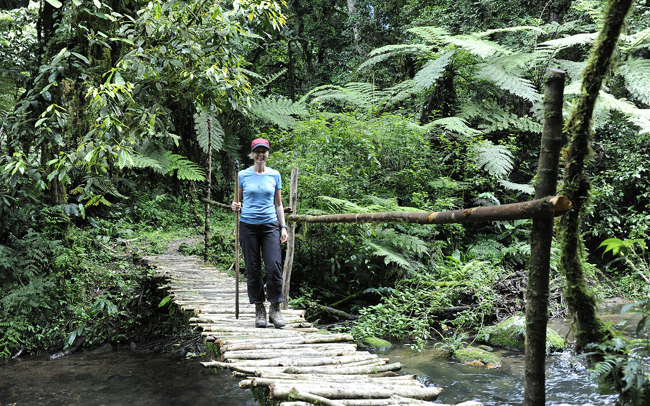 Nkuringo Gorilla lodge