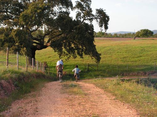 herdade do amarelo