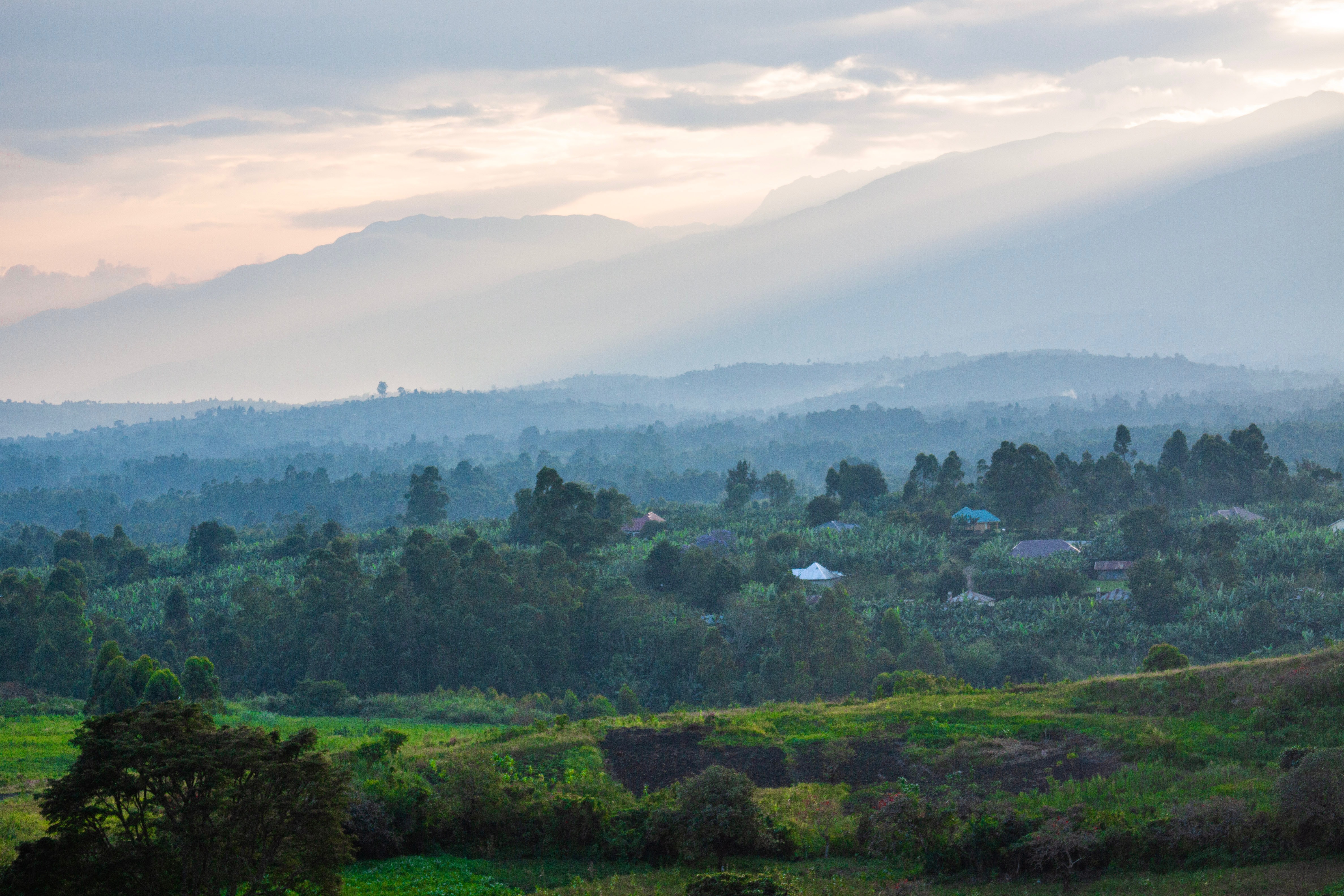 itote rubombora on Unsplash