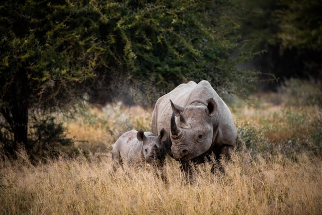 Photo de Andrew Liu sur Unsplash