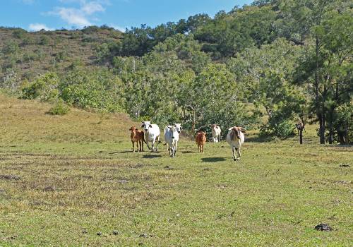 La Petite Ferme - La Foa-© JC Robert   NCTPS-2030-04-23