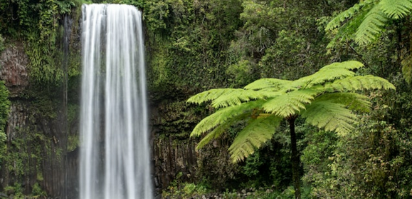 Photo de David Clode sur Unsplash 