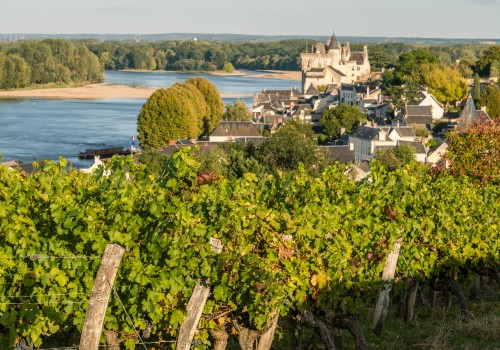 Montsoreau-AnjouTourisme-(c)Sebastien_GAUDARD
