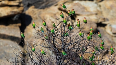 waterberg - TeeFarm on Pixabay 400.jpg