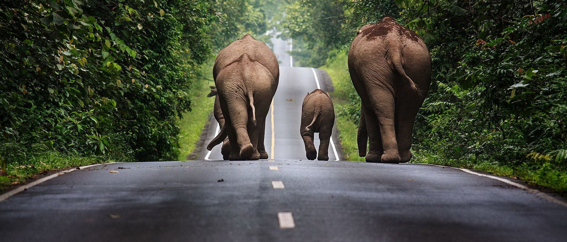 Voyage sur-mesure, Thailande 