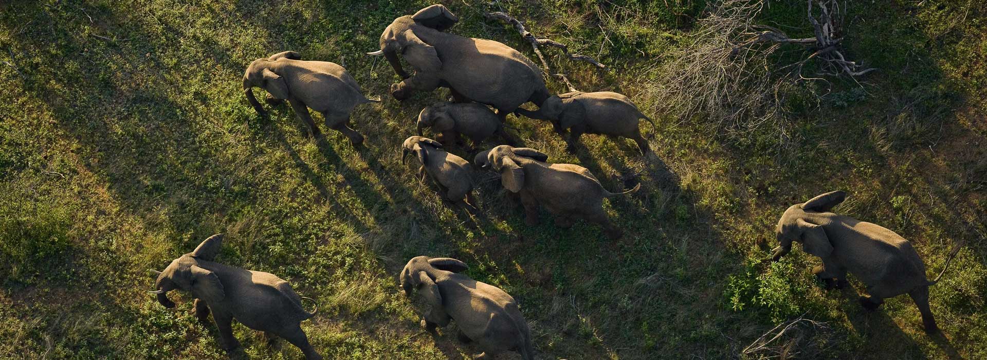 Voyage sur-mesure, Afrique du Sud 