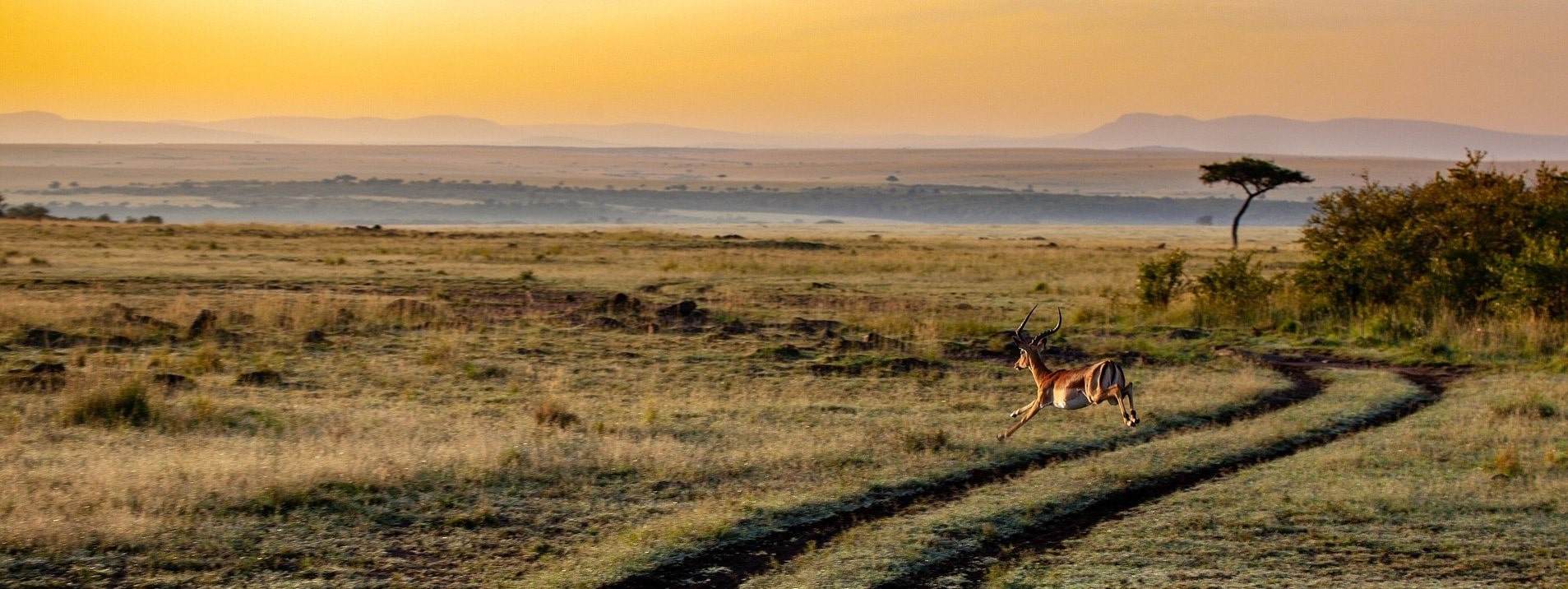 Voyage sur-mesure, Kenya 